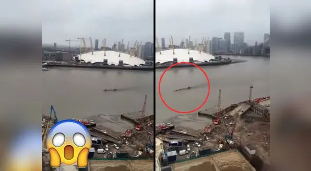 Imágenes muestran a una extraña criatura en un lago.