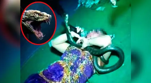 Cobra mató a cantante pop