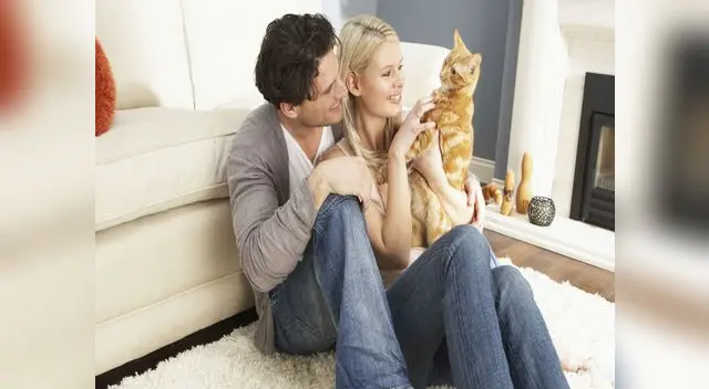 Sus propietarios deben darle mucho afecto y atención. 