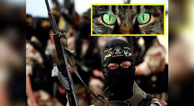 Nuevo dispositivo para el bienestar de la sociedad Nuevo dispositivo para el bienestar de la sociedad