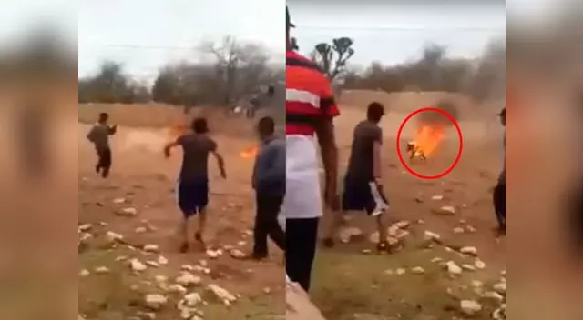 Los muchachos empiezan a reír cuando el animal se enciende 