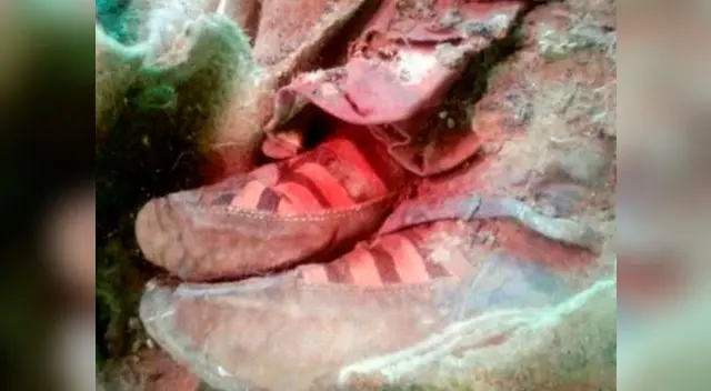 El hallazgo fue realizado en las Montañas Altai