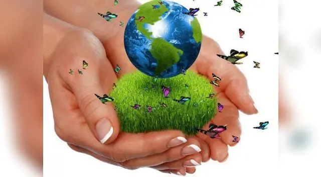 Los mejores consejos para cuidar al planeta Los mejores consejos para cuidar al planeta