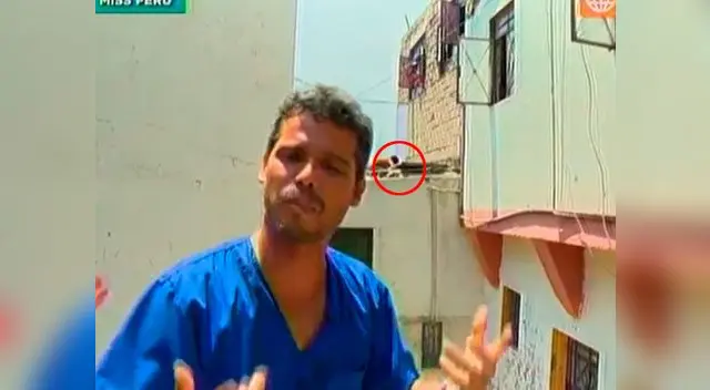 El hijo del presunto agresor intentó sacar al pobre animal