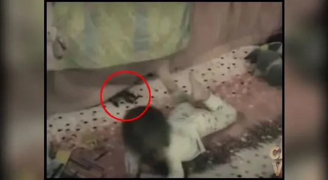 La menor desapareció ante la cámara de seguridad La menor desapareció ante la cámara de seguridad