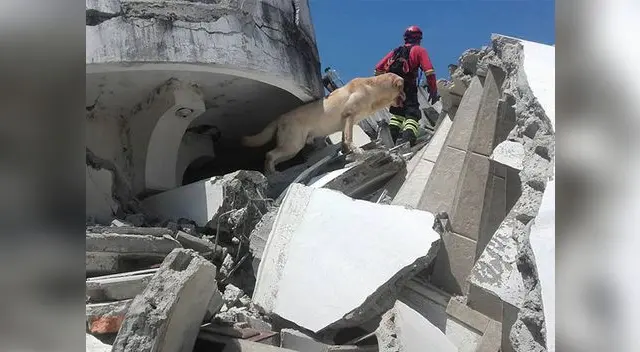 Dayco logró rescatar siete personas con vida en Ecuador Dayco logró rescatar siete personas con vida en Ecuador