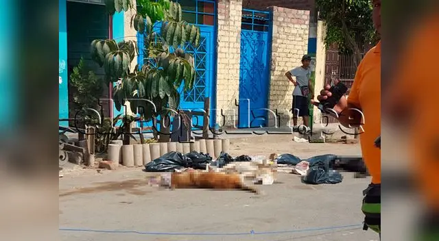 Algunos animales lograron ser salvados por sus dueños