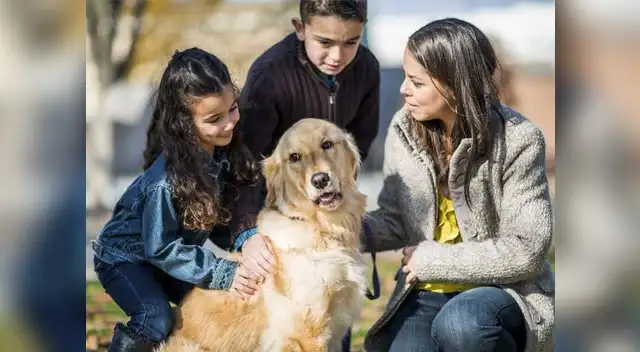 Mascotas deben ser incluidas en planes contra desastres