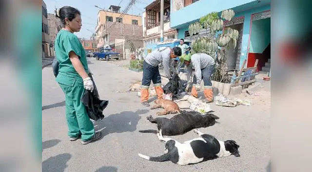 Vecinos indignados exigen investigación Vecinos indignados exigen investigación