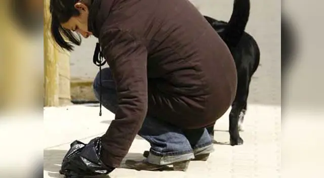 Se aplicará multa para dueños de canes Se aplicará multa para dueños de canes