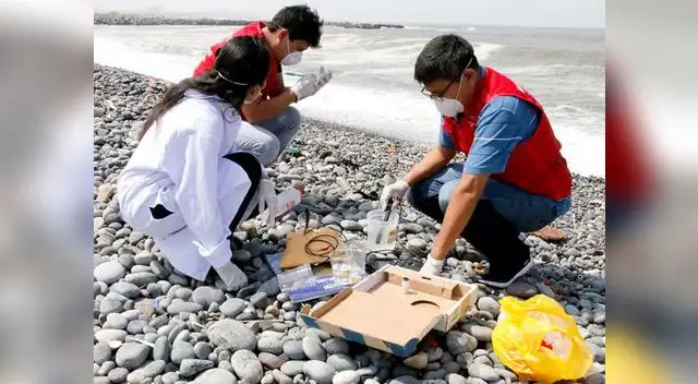 400 voluntarios apoyaron acciones de limpieza de la playa Carpayo 
