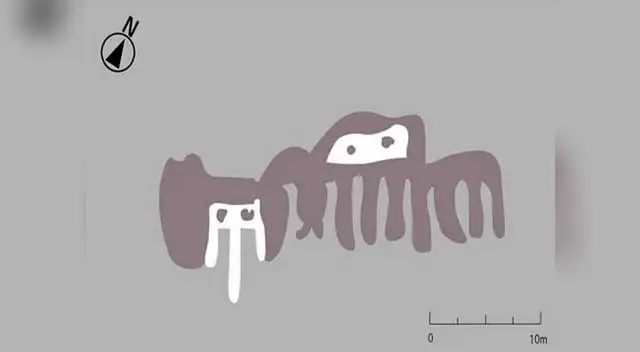 Descubrimiento en las Pampas de Nasca