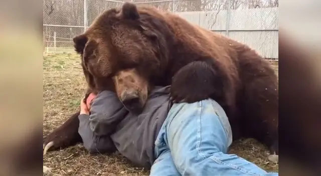 El cuidador recibió el susto de su vida 