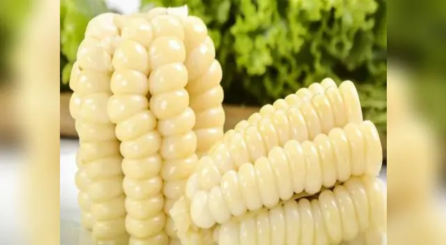 El choclo, alimento altamente nutritivo.