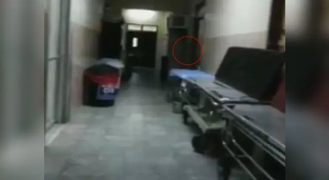 La persona que grabó, retrocedió asustado hacia una habitación 