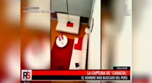 El lujoso escondite El lujoso escondite