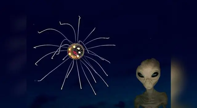 La medusa cuenta con extraños y luminosos colores La medusa cuenta con extraños y luminosos colores