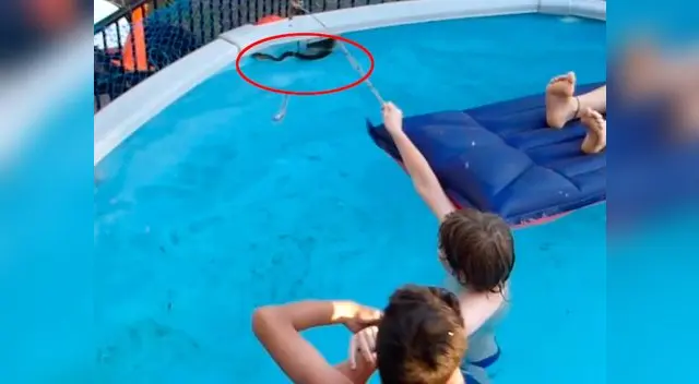 El padre continuó grabando al ver a la serpiente 