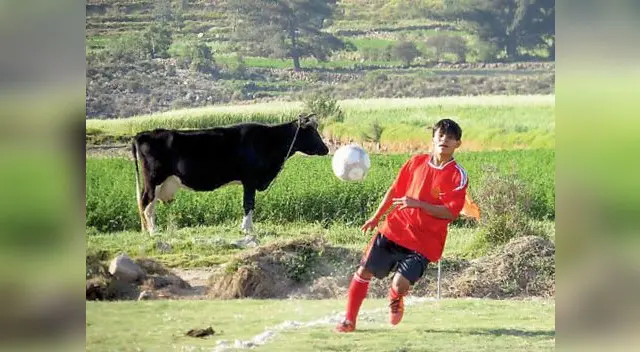 Mientras en Lima, se inició el interligas con equipos divididos en 32 grupos