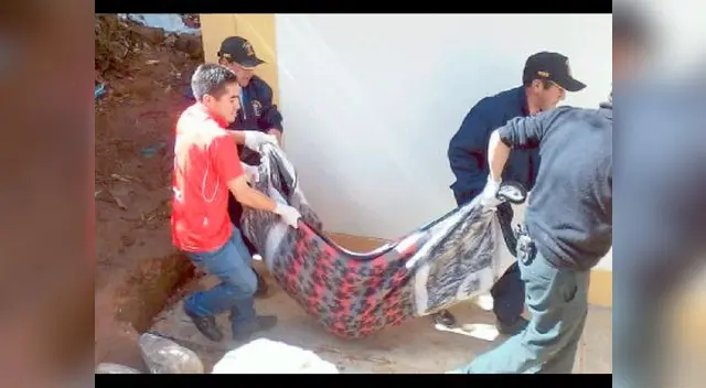 Terrible final tuvo adolescente Terrible final tuvo adolescente