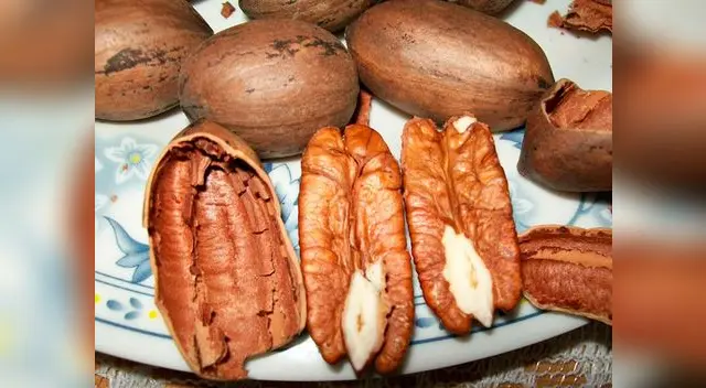 Las nueces, almendras y maní deben ser el snack de todas la tardes
