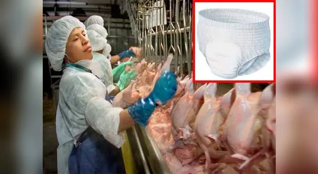 Maltrato laboral en un sector de Estados Unidos Maltrato laboral en un sector de Estados Unidos