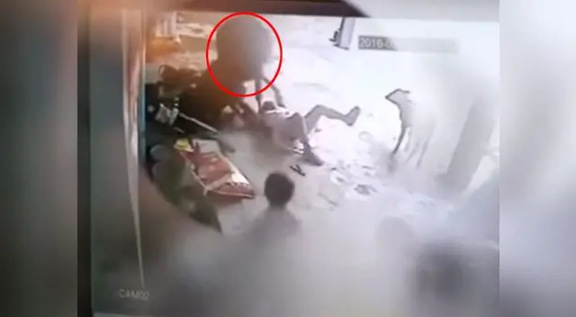 La vaca se convirtió en la salvadora de la mujer La vaca se convirtió en la salvadora de la mujer