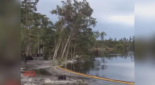 Los árboles desaparecieron en las profundidades Los árboles desaparecieron en las profundidades