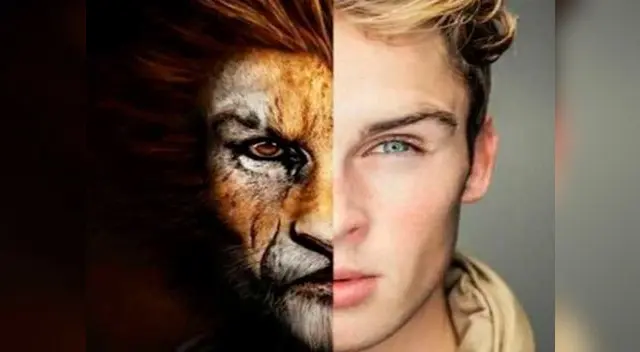 Película de ThunderCats