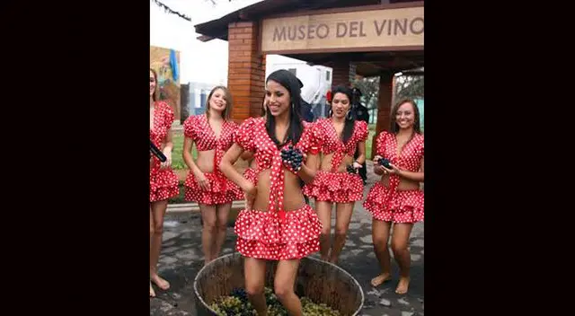 Escogerán la reina de la Vendimia Escogerán la reina de la Vendimia