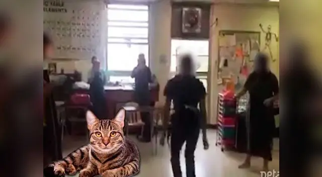 Evidente caso de maltrato animal