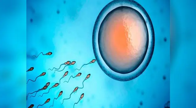 Un esperma poco saludable podría ocasionar el síndrome del feto alcohólico Un esperma poco saludable podría ocasionar el síndrome del feto alcohólico