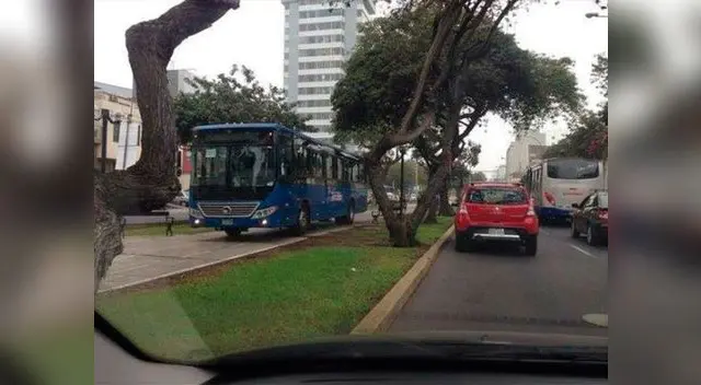 usuarios de Facebook mostraron su indignación por imprudencia de chofer usuarios de Facebook mostraron su indignación por imprudencia de chofer