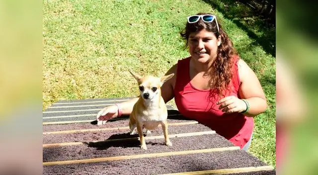 Parques contarán con juegos exclusivos para mascotas 