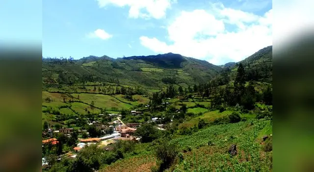 La naturaleza viva de Amazonas
