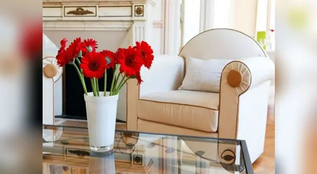 Tus flores necesitan estar en un ambiente adecuado. Tus flores necesitan estar en un ambiente adecuado.