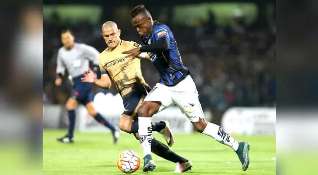 Ecuatorianos en una campaña histórica