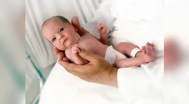 Estos bebés dependen de padres listos para criarlos y protegerlos Estos bebés dependen de padres listos para criarlos y protegerlos
