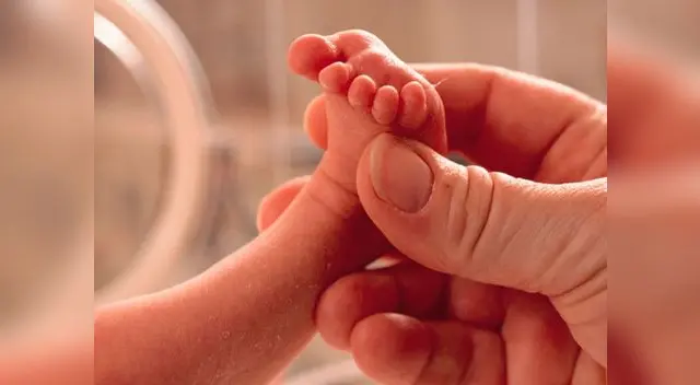 Los padres gozan de una capacidad intelectual para cuidar a sus bebes prematuros Los padres gozan de una capacidad intelectual para cuidar a sus bebes prematuros