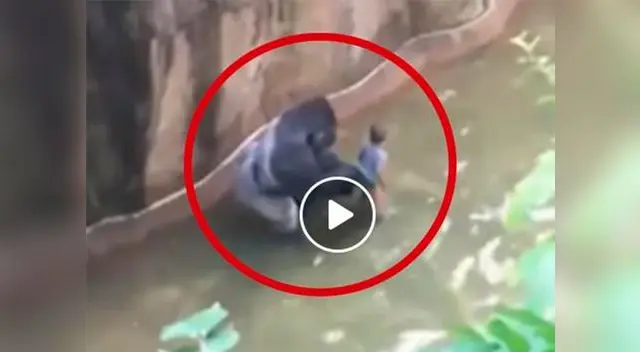 Escenas fueron registradas y publicadas en Youtube