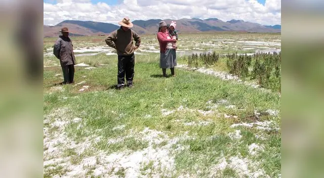 Miles de familias son afectadas por las heladas. Miles de familias son afectadas por las heladas.