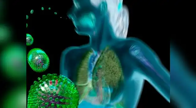  El virus de la influenza se incrementan debido a las bajas temperaturas.