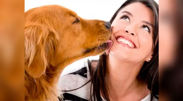 La mayoría de los cachorros lamen sus propias heridas. La mayoría de los cachorros lamen sus propias heridas.