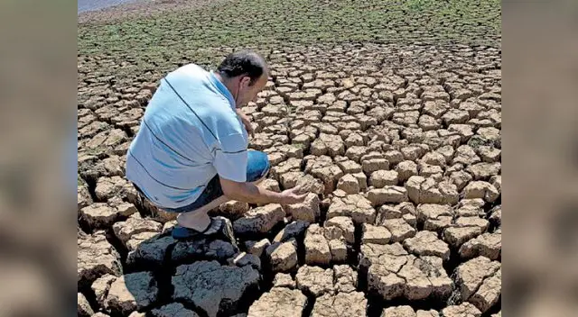 En el perú se vive un sobrecultivo en zonas ricas de producción En el perú se vive un sobrecultivo en zonas ricas de producción