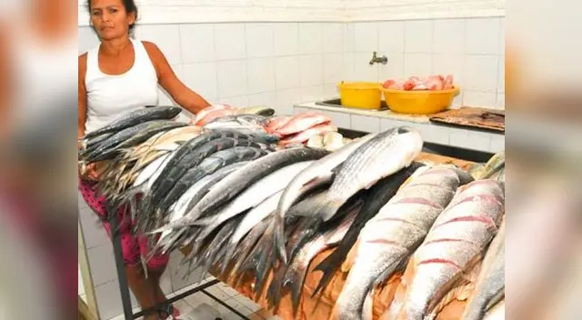 Consume pescados y consigue una alimentación saludable. Consume pescados y consigue una alimentación saludable.