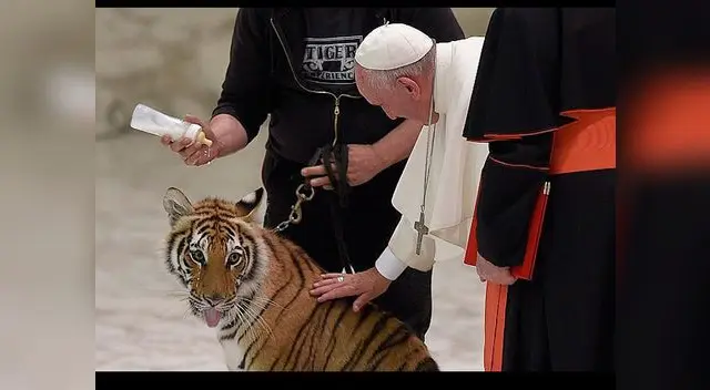 El papa Francisco dudó en acariciar al tigre pero al final logró superar el susto
