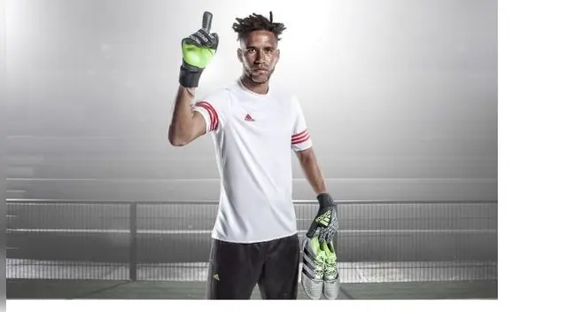 Pegará el salto a México. Pegará el salto a México.