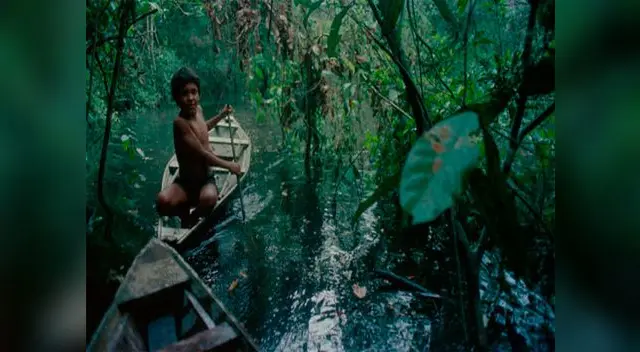 Decenas de ambientalistas ultimados. Decenas de ambientalistas ultimados.