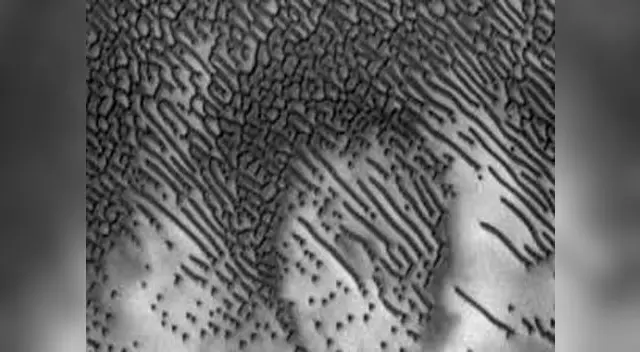 ¿ Señales de vida inteligente ?