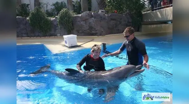 Un tema polémico que abordará el director de la ONG Orca Un tema polémico que abordará el director de la ONG Orca